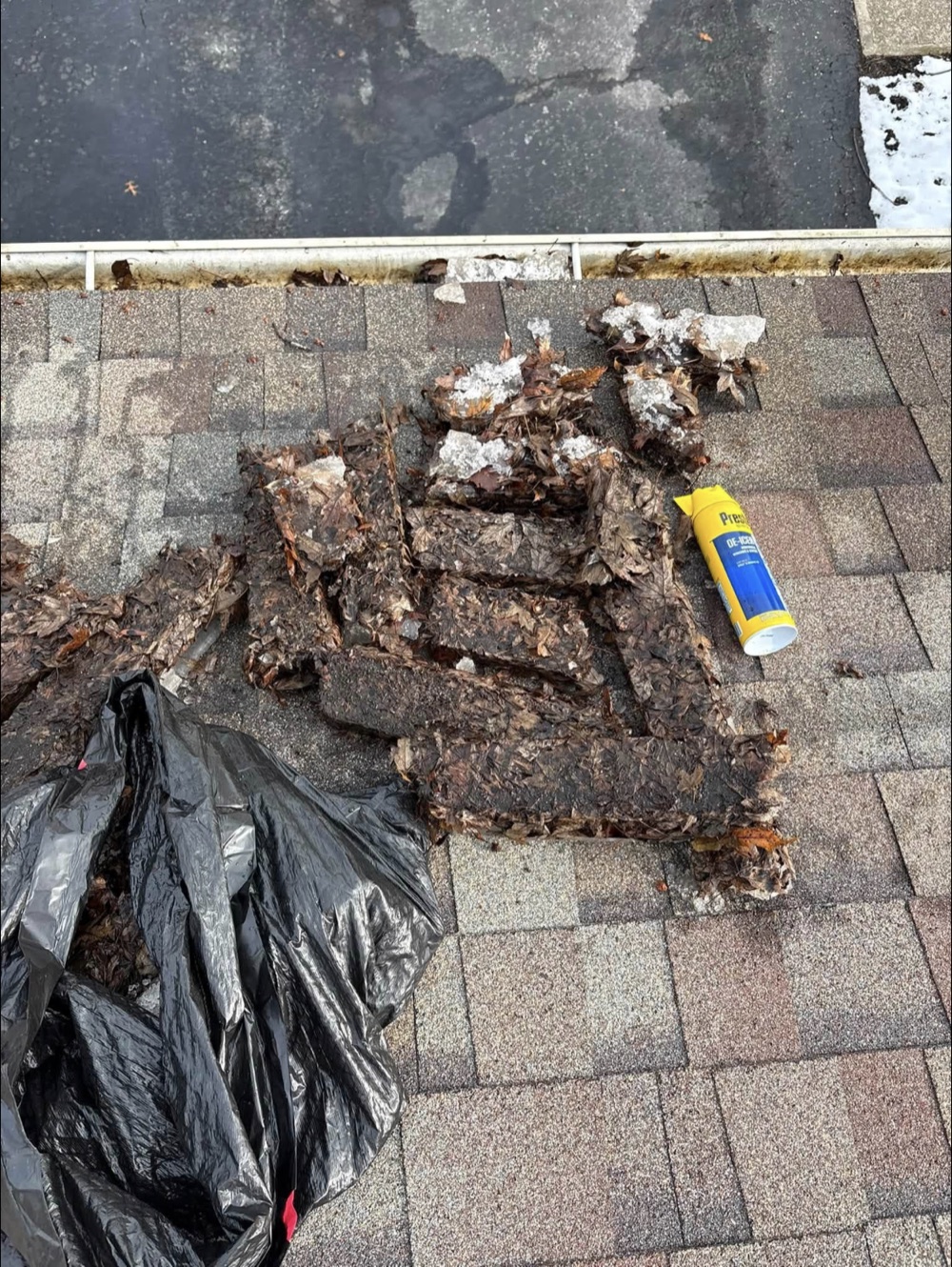 Leaves and debris collected from a roof gutter beside black cleanup bags